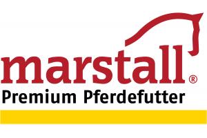 docs/slide_de_marstall-logo_office_gelb.jpg