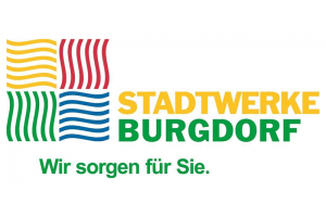 docs/slide_org_stadtwerkebugdorf.png