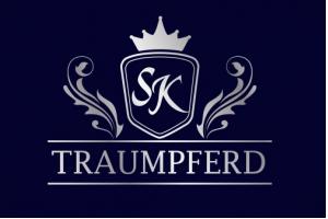 docs/slide_traumpferd_logo_hintergrund_silber.jpg