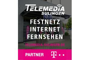 docs/slide_telemedia_sulingen.jpg