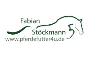 docs/slide_fabianstckmann.jpg