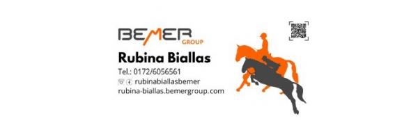 docs/slide_bemer.jpg