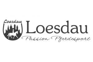 docs/slide_loesdau.png