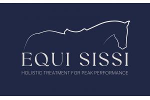 docs/slide_equisissi.jpg