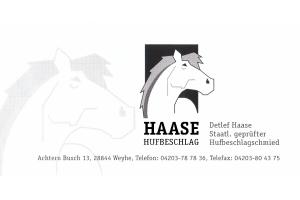 docs/slide_haase.jpg