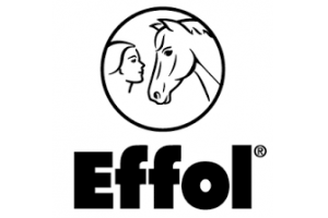 docs/slide_effol.png
