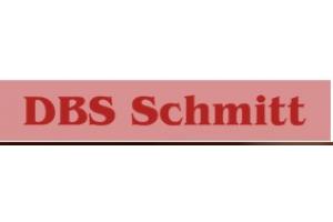 docs/slide_dbsschmitt.jpg