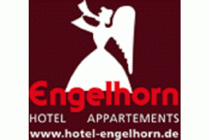 docs/slide_engelhorn.gif
