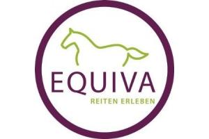docs/slide_equiva.jpg