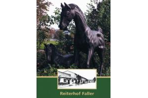 docs/slide_faller_pferd03.jpg