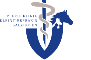 docs/slide_salzhofen.png