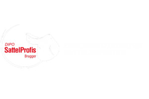 docs/slide_sattelprofis_logo2.png